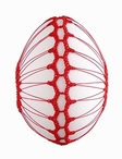  vzor 07-I-2