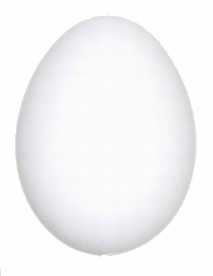 Kachni-Enteneier-Duck_eggs-100.jpg