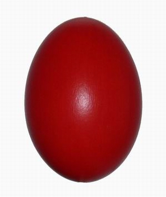 Kachni-Enteneier-Duck_eggs-101.jpg
