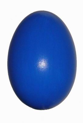 Kachni-Enteneier-Duck_eggs-102.jpg