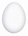 Kachni-Enteneier-Duck_eggs-100
